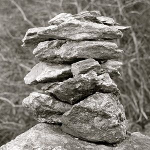 Meet your Posher, Joy